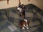 Maddie and Axel 
