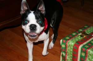 Macy Smiling