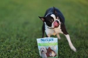 nudges dog treats