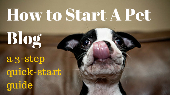 How to Start A Pet Blog